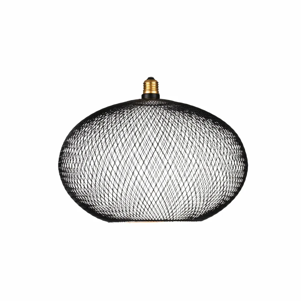 Ampoule LED décorative - Floating Cage Ovale 30 cm
