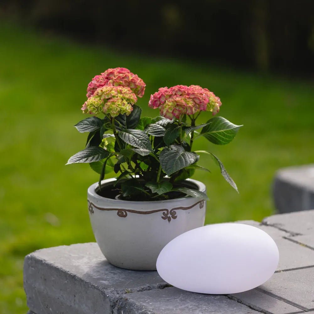 Lea Pierre LED Moyen blanche