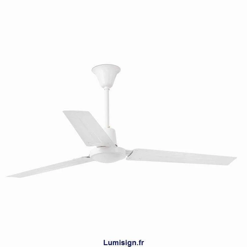 Ventilateur de plafond INDUS blanc