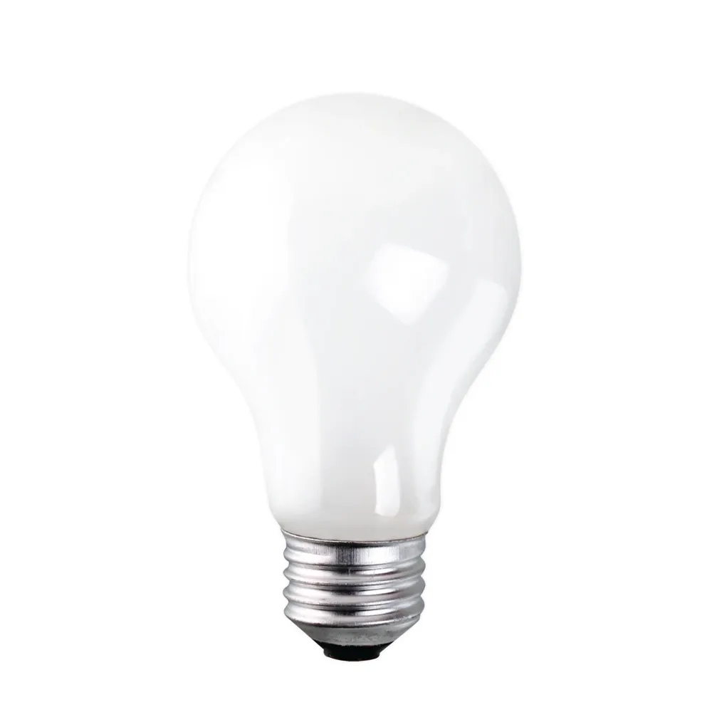 Ampoule givrée A19 XTRICITY