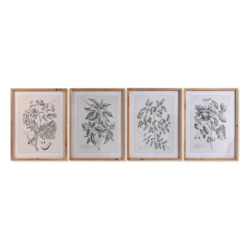 Cadre DKD Home Decor Sapin Verre Plantes botaniques (50 x 65 x 2 cm) (