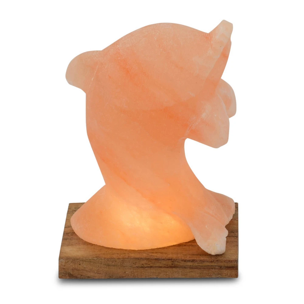 Kit d'Éclairage Ambiance Lampe de sel LED dauphin avec socle, ambre