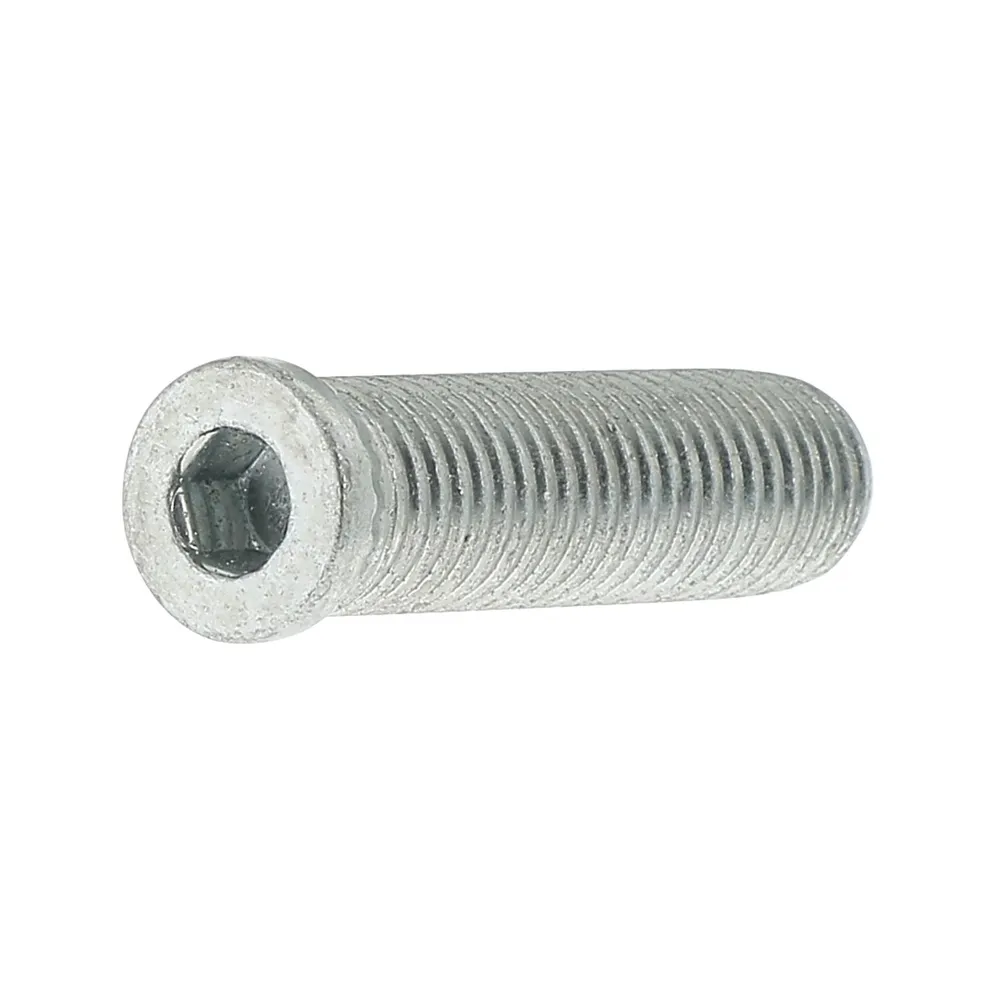 Vis ancrage directe 2-Pack